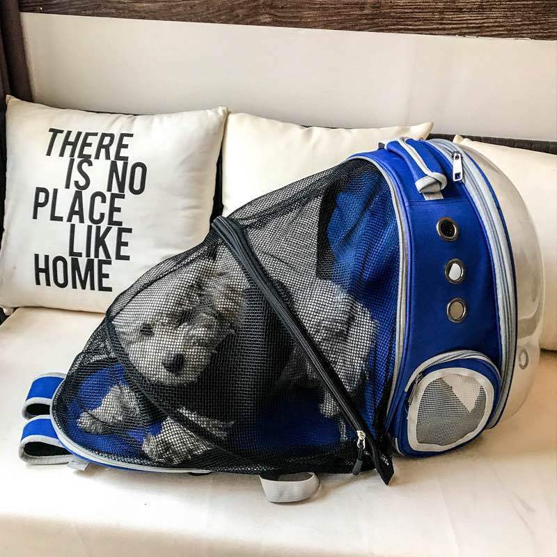 backpack – 24