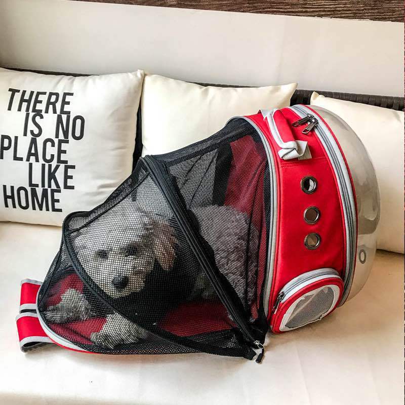 backpack – 25