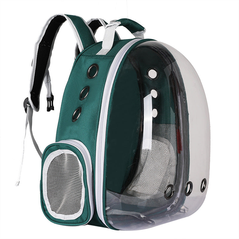 backpack – 31