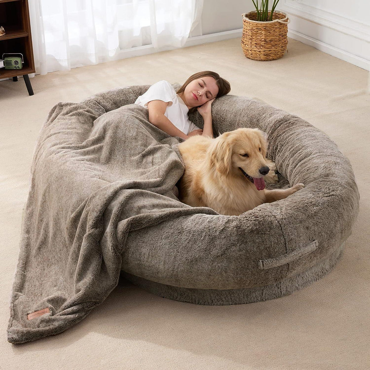 cat furniture – 2