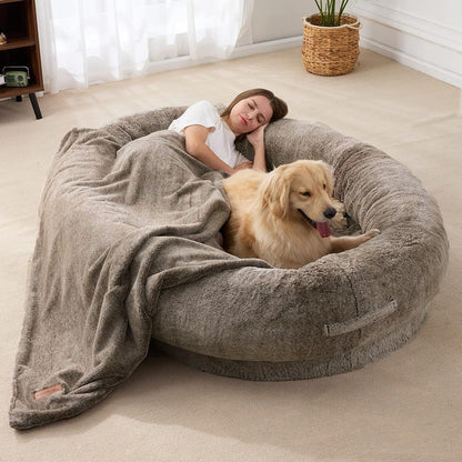 cat furniture – 2