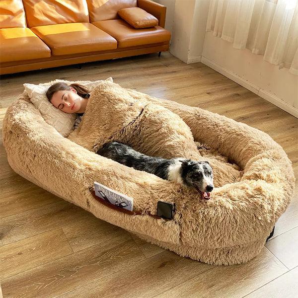 cat furniture – 3