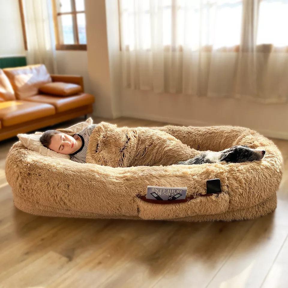 cat furniture – 5