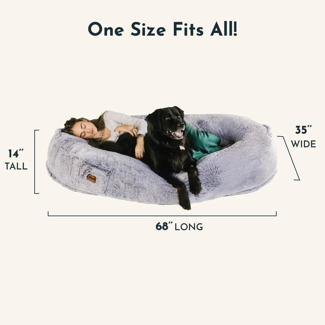 cat furniture – 7