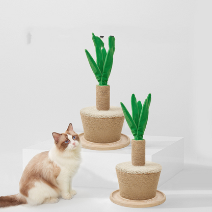 cat furniture