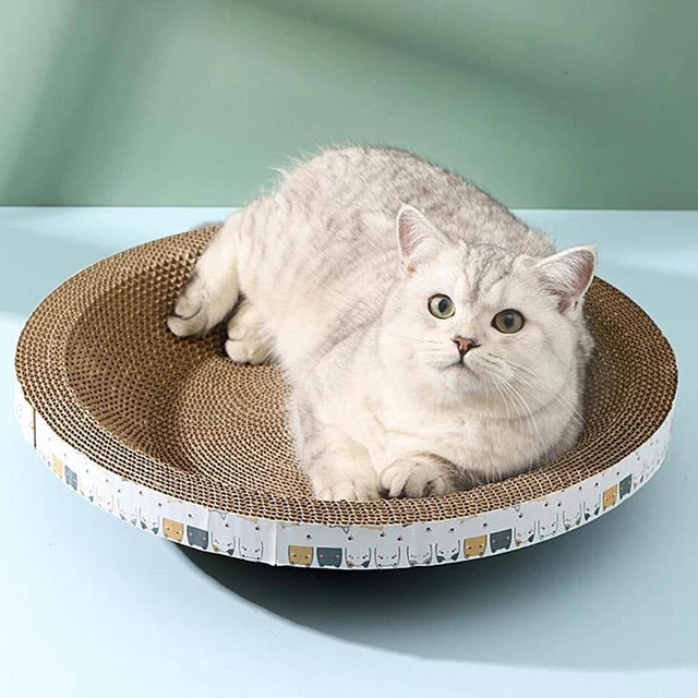 cat furniture