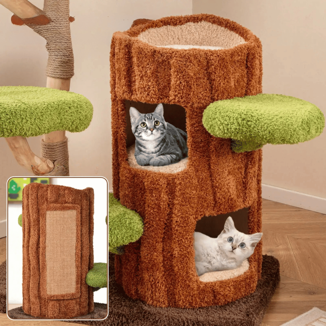 cat furniture – 3