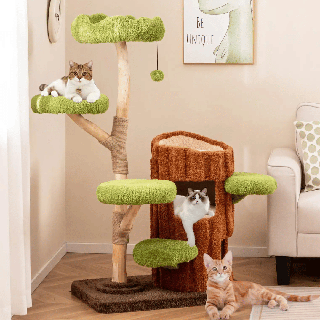 cat furniture – 4
