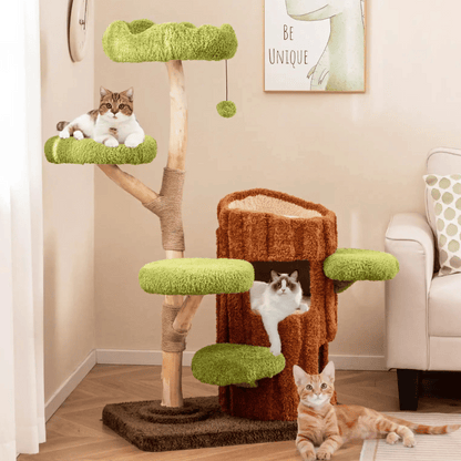 cat furniture – 4