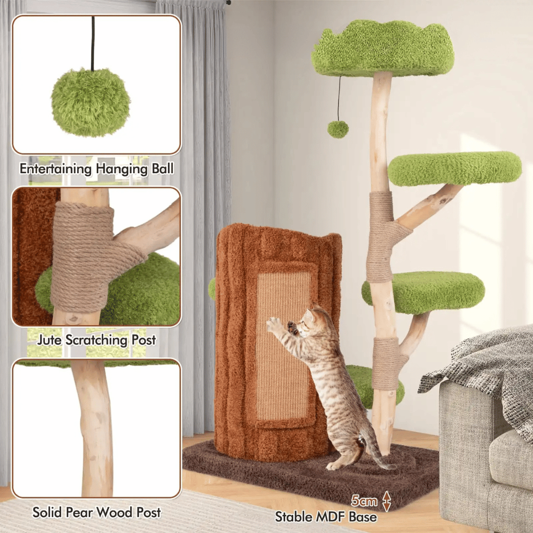 cat furniture – 6