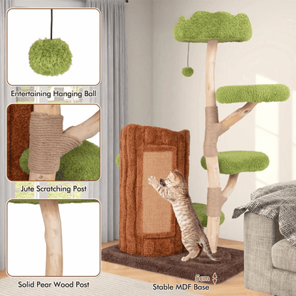 cat furniture – 6