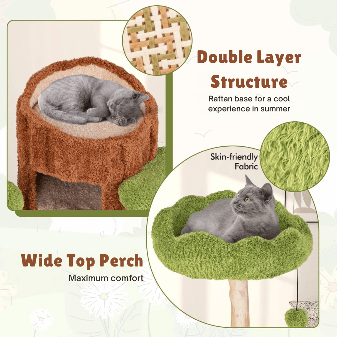 cat furniture – 7
