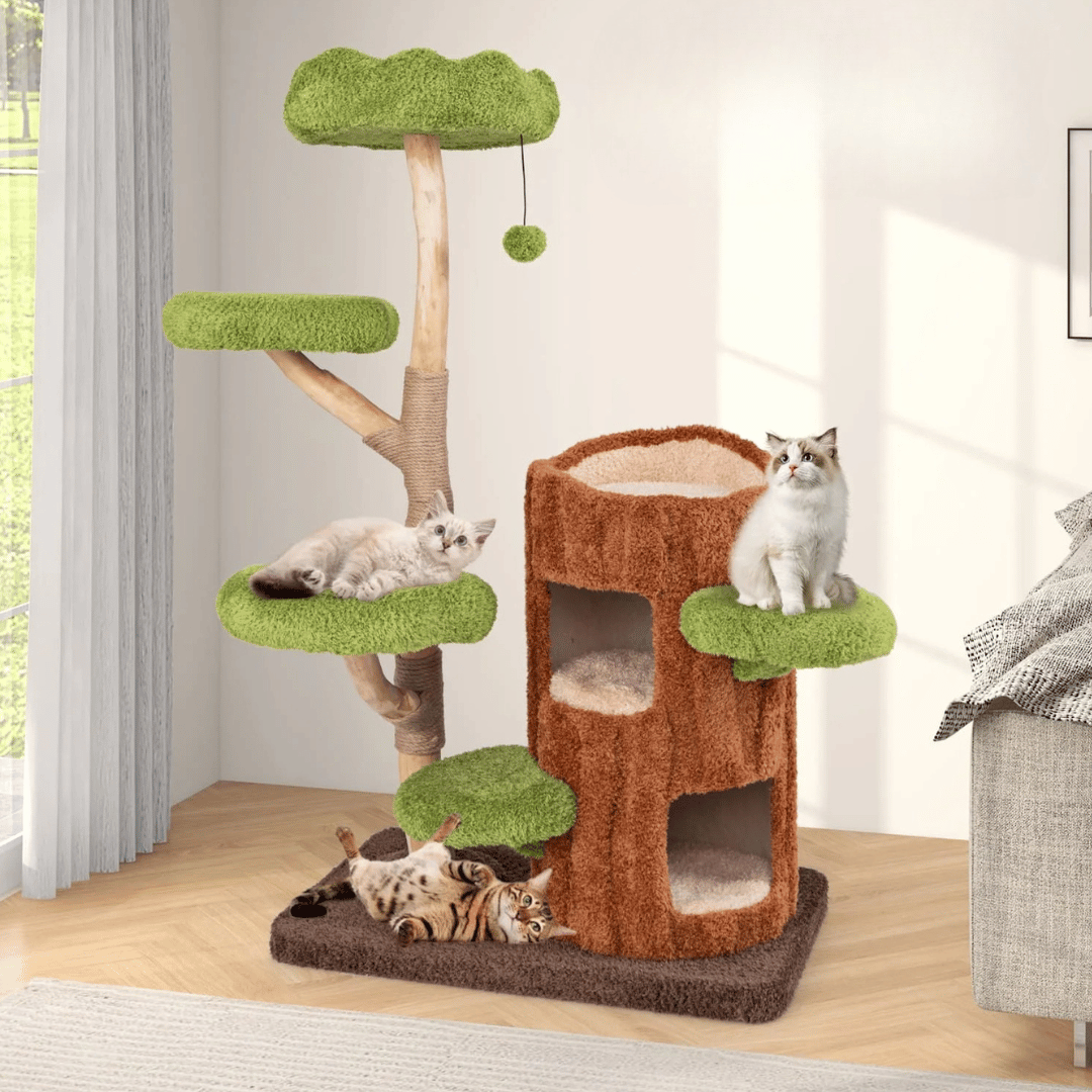 cat furniture