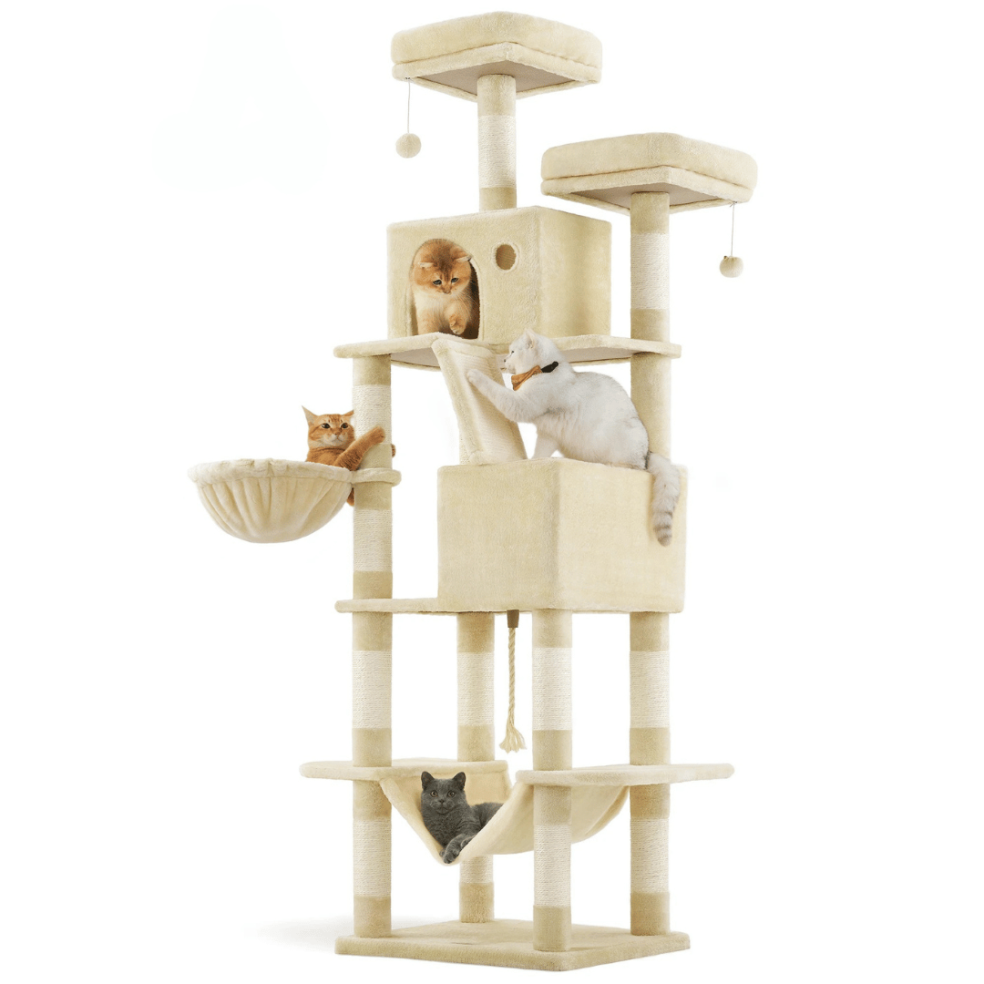 cat furniture