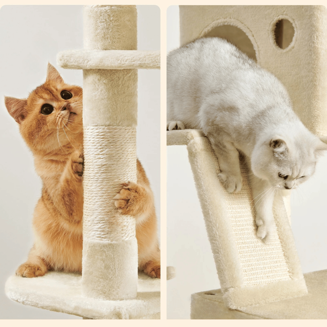 cat furniture – 4