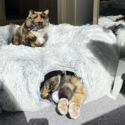 cat furniture