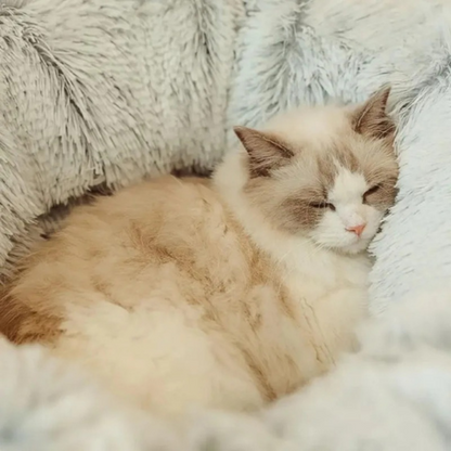 cat furniture