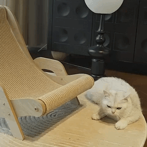 cat furniture