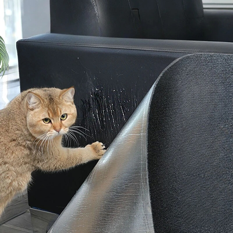 cat furniture