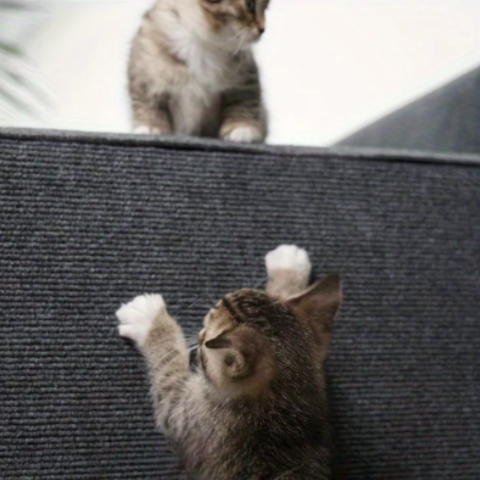 cat furniture
