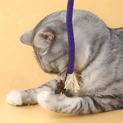 cat furniture