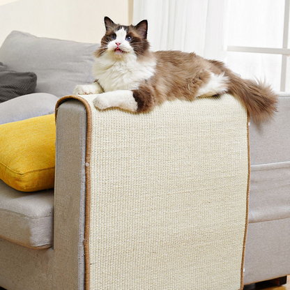 cat furniture
