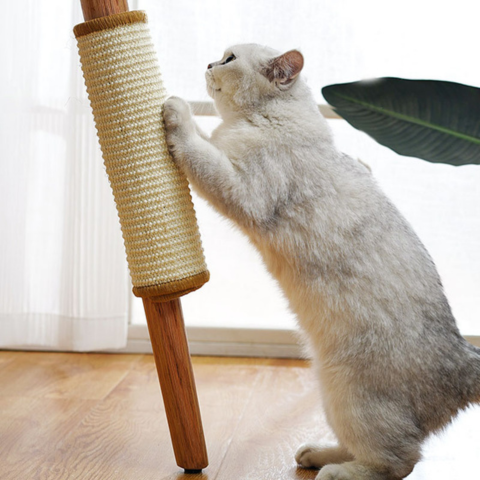 cat furniture