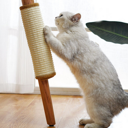 cat furniture