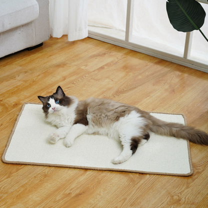 cat furniture
