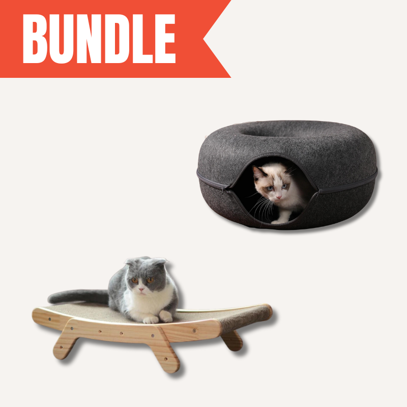 cat furniture