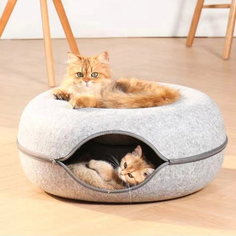 cat furniture