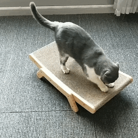 cat furniture