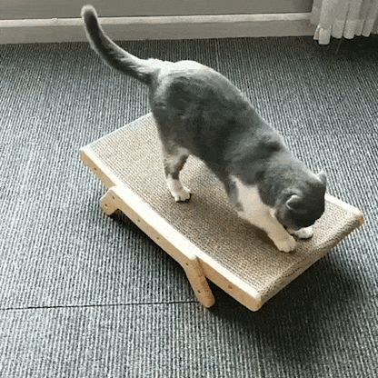 cat furniture