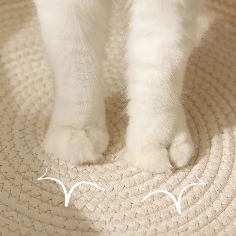 cat furniture – 3