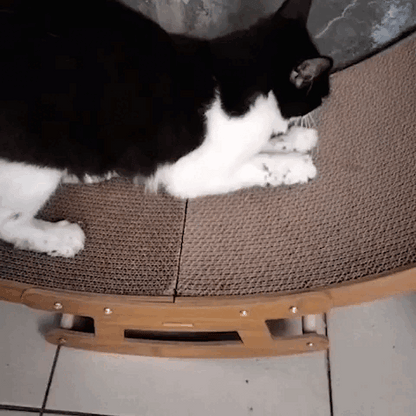 cat furniture