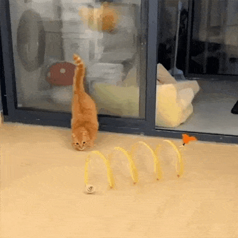 cat furniture