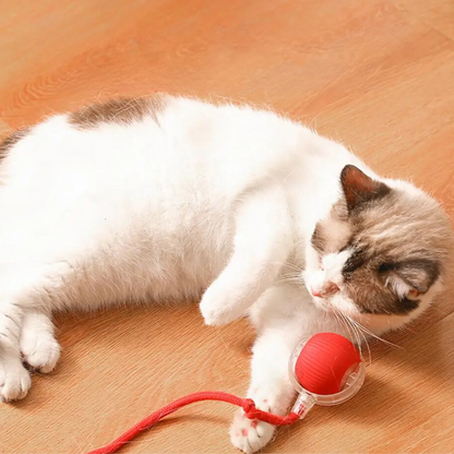 cat toy – 2