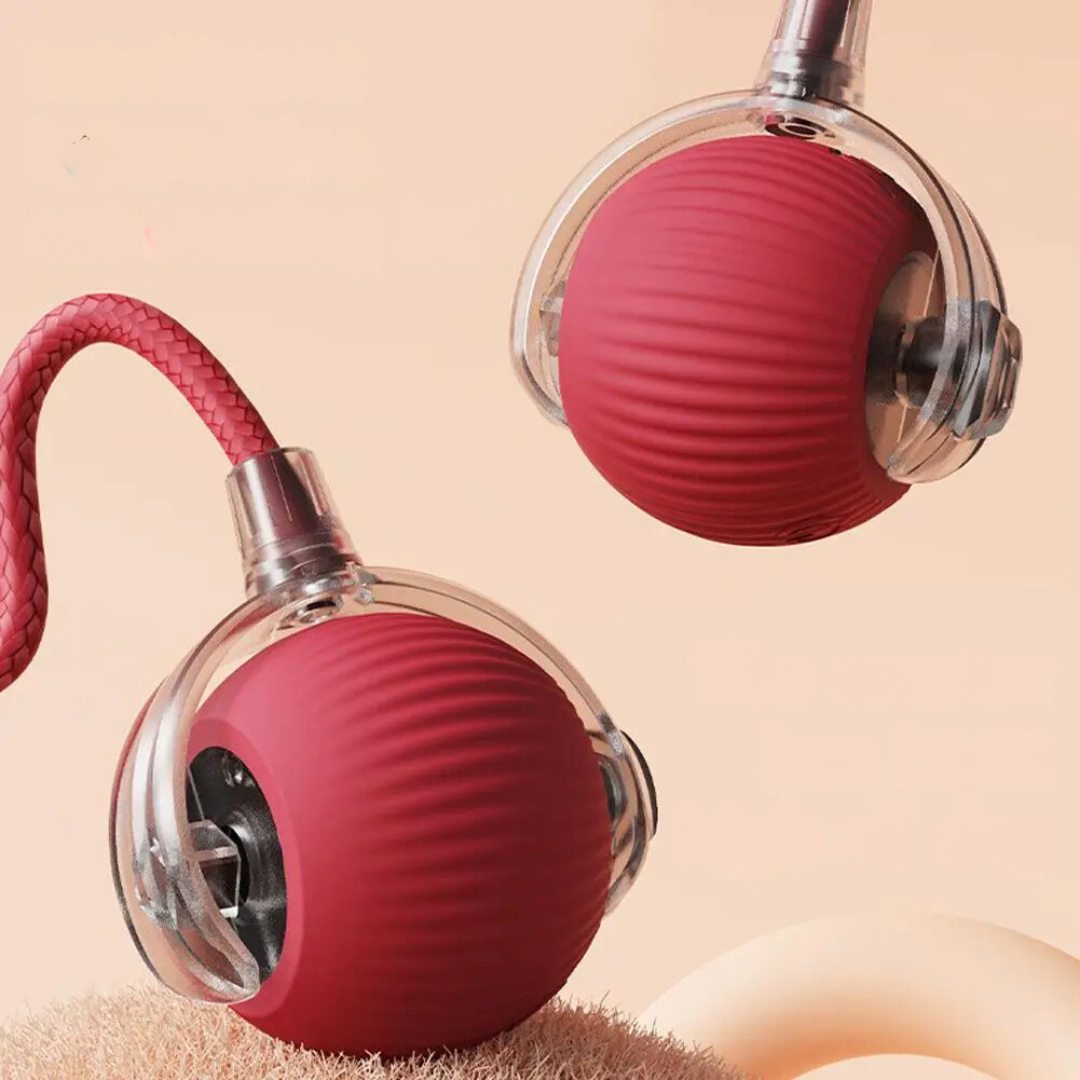 cat toy – 6