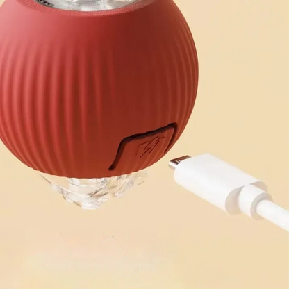 cat toy – 8
