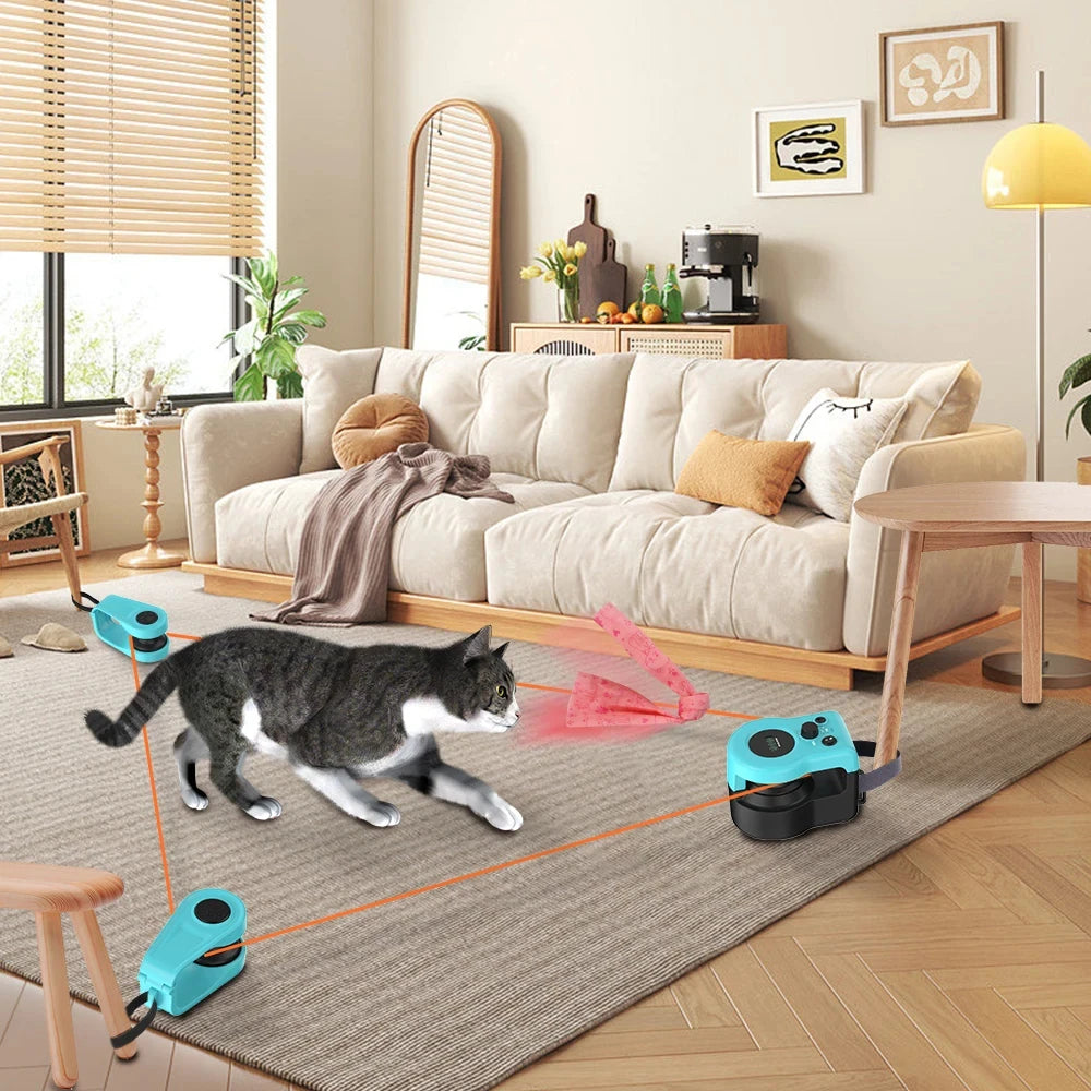 cat toy
