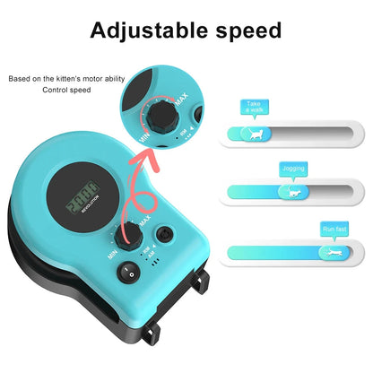 cat toy – 18