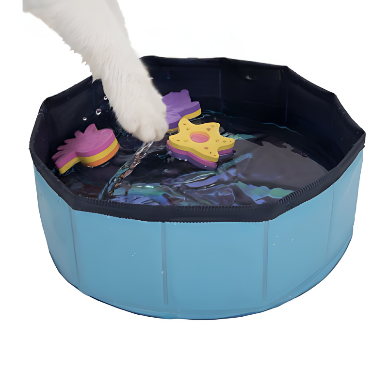 cat toy