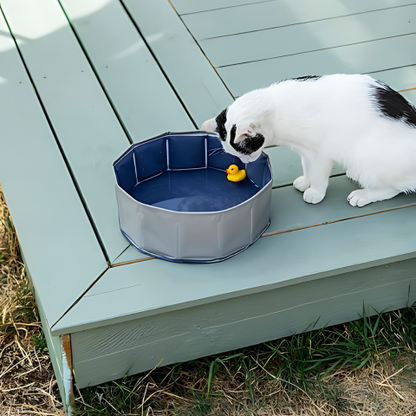 cat toy
