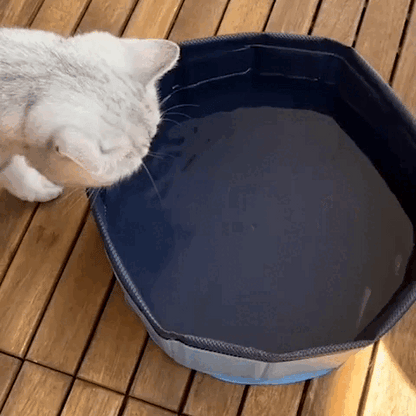 cat toy