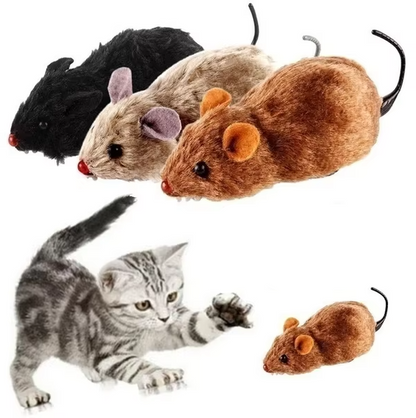 cat toy