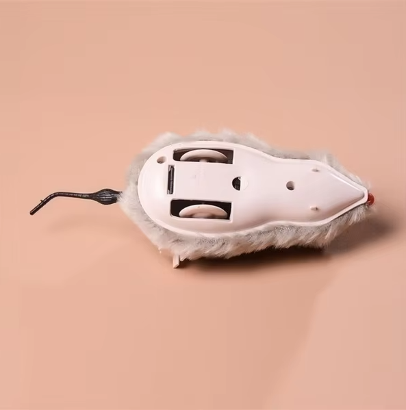 cat toy – 10