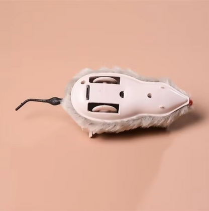 cat toy – 10