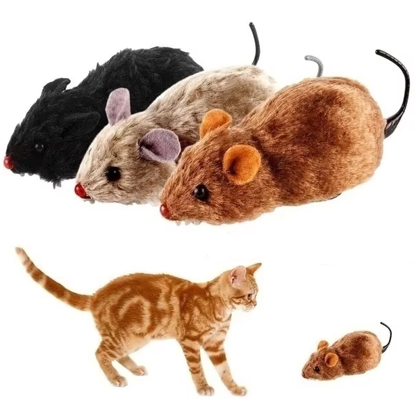 cat toy – 2