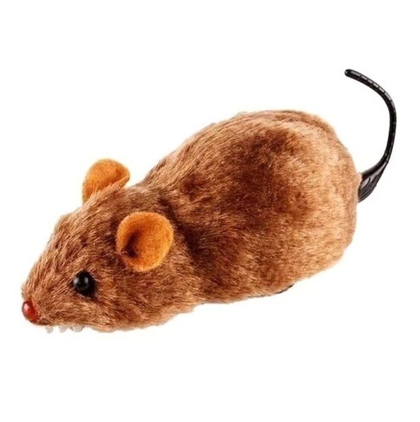 cat toy – 3
