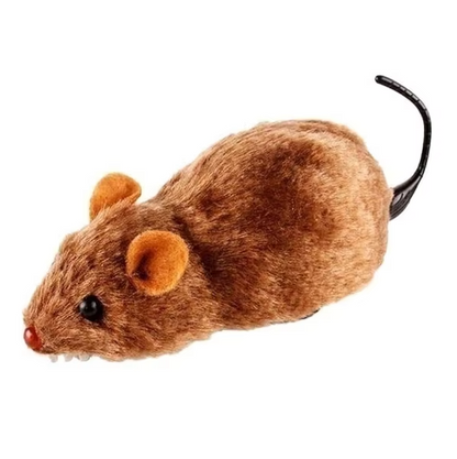 cat toy – 3